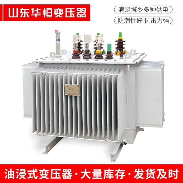 S13-10000/35柳河柳河柳河电力变压器